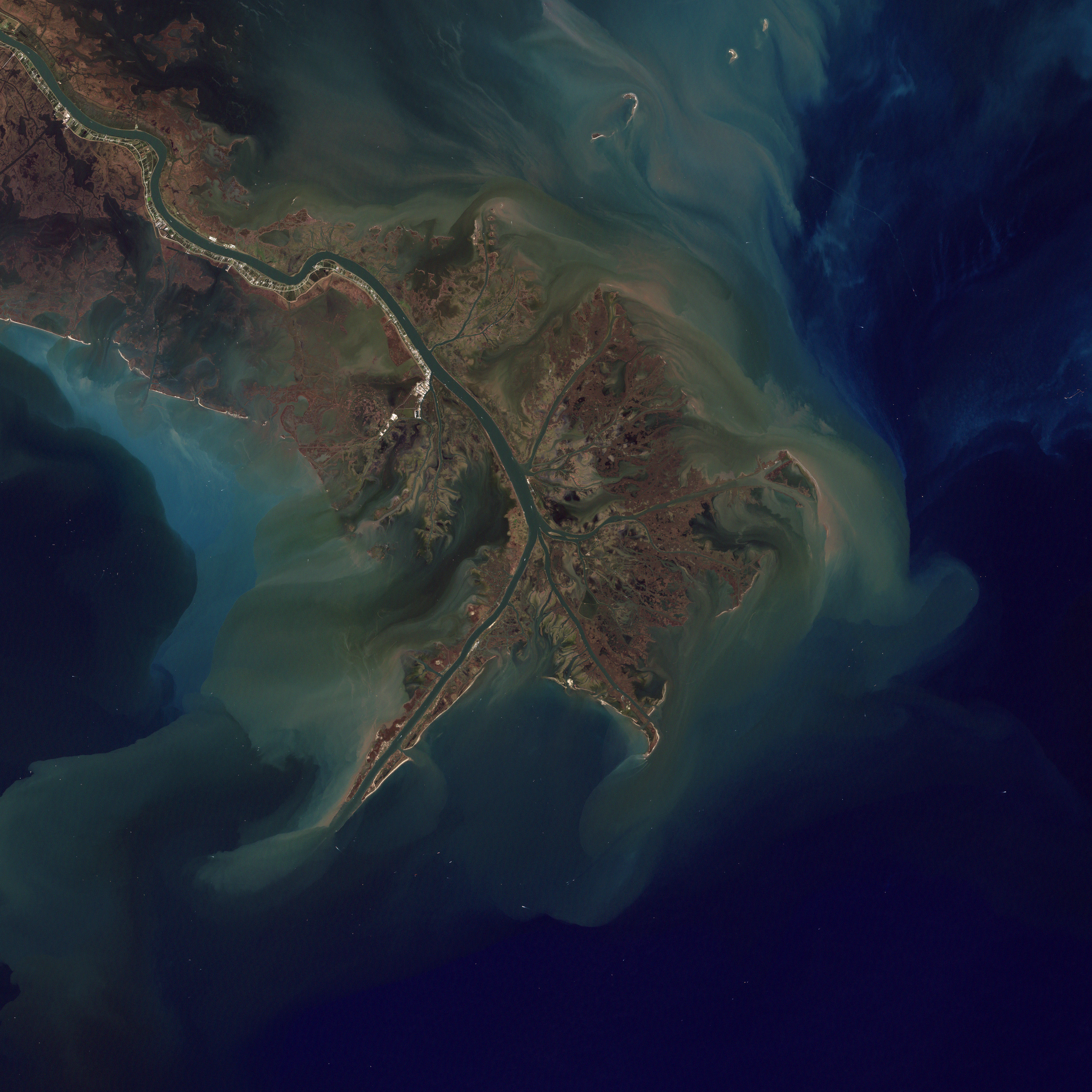 Il delta del misssisipi (crediti NASA, Robert Simmon)