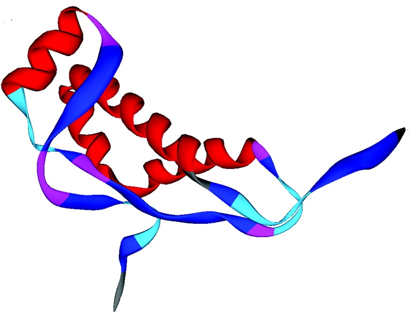 Rappresentazione della proteina Doppel