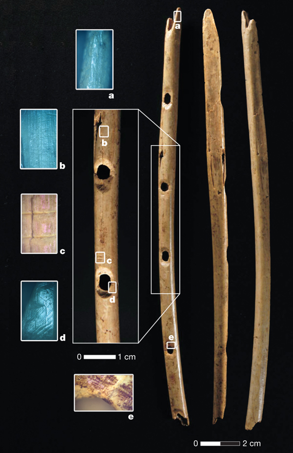 Flauto paleolitico (crediti: Nicholas J. Conard, Maria Malina &  Susanne C. Münzel)