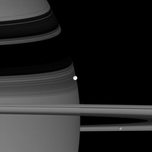 Saturno e alcune lune (crediti NASA/JPL/Space Science Institute)