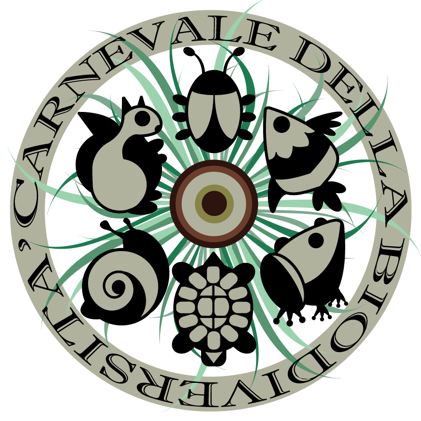 Logo Carnevale