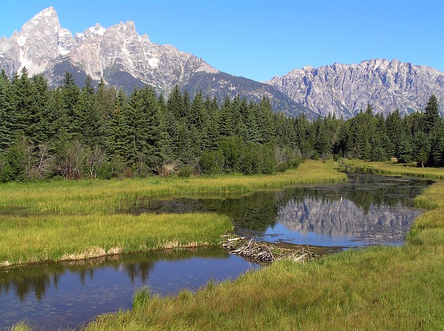 grand-teton-national-park-80548_640