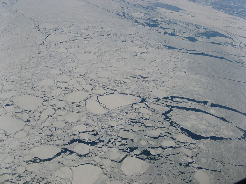 800px-Sea_ice_near_coast_of_Labrador_-a