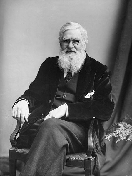 Alfred-Russel-Wallace-c1895