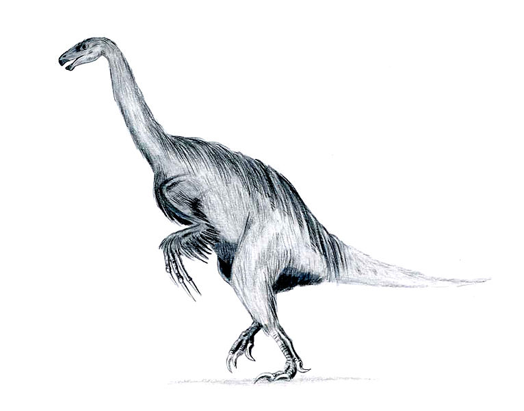 766px-Erlikosaurus_feathered