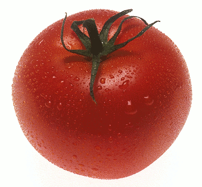 tomato