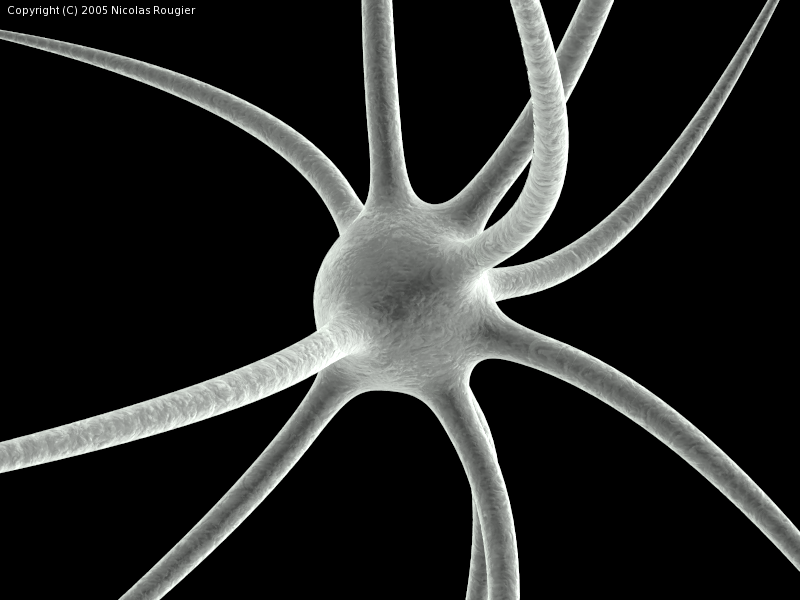 Neuron-SEM