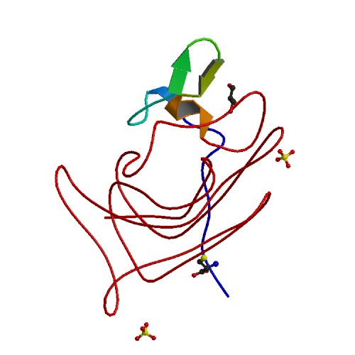 PBB_Protein_F8_image