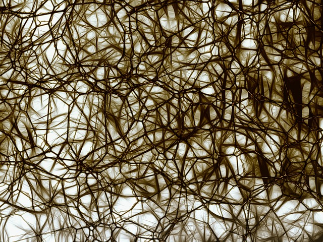 neurons-877574_640