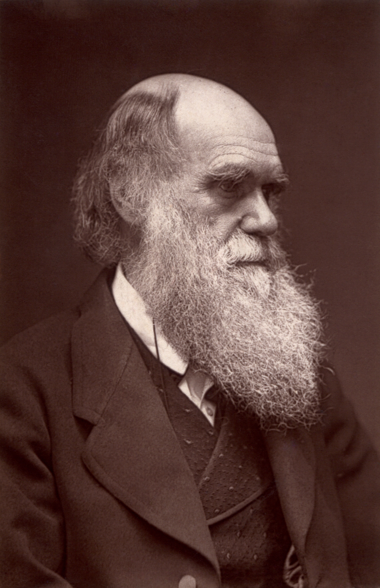 Darwin_-_John_G_Murdoch_Portrait_restored