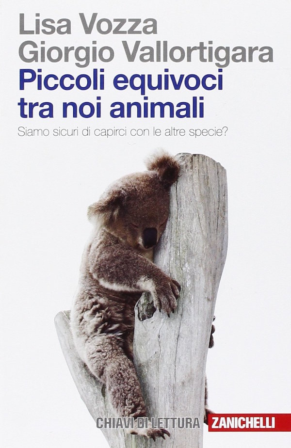 Il koala si riposa sui tronchi perché è un pigrone? Più complesso vuol dire più evoluto? Se ne parla nell'ultimo libro di Lisa Vozza e Giorgio Vallortigara