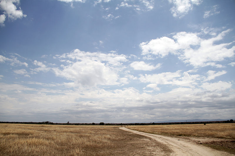 ol-pejeta-parchi-naturali-iucn