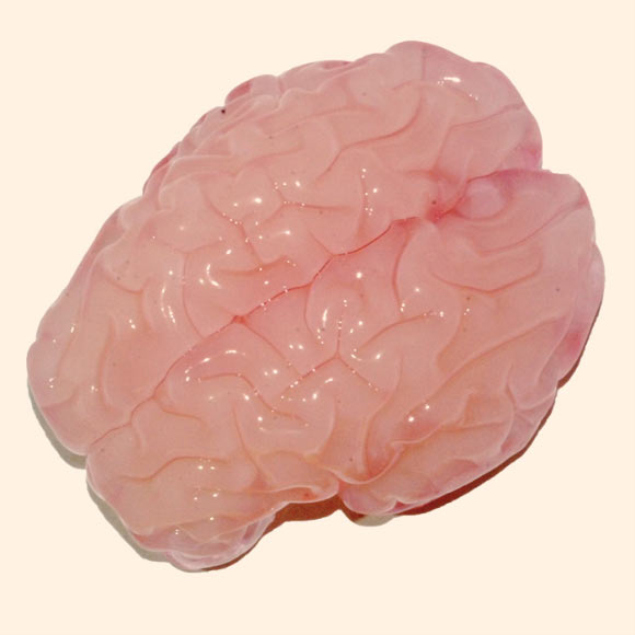 Cervello stampato in 3D