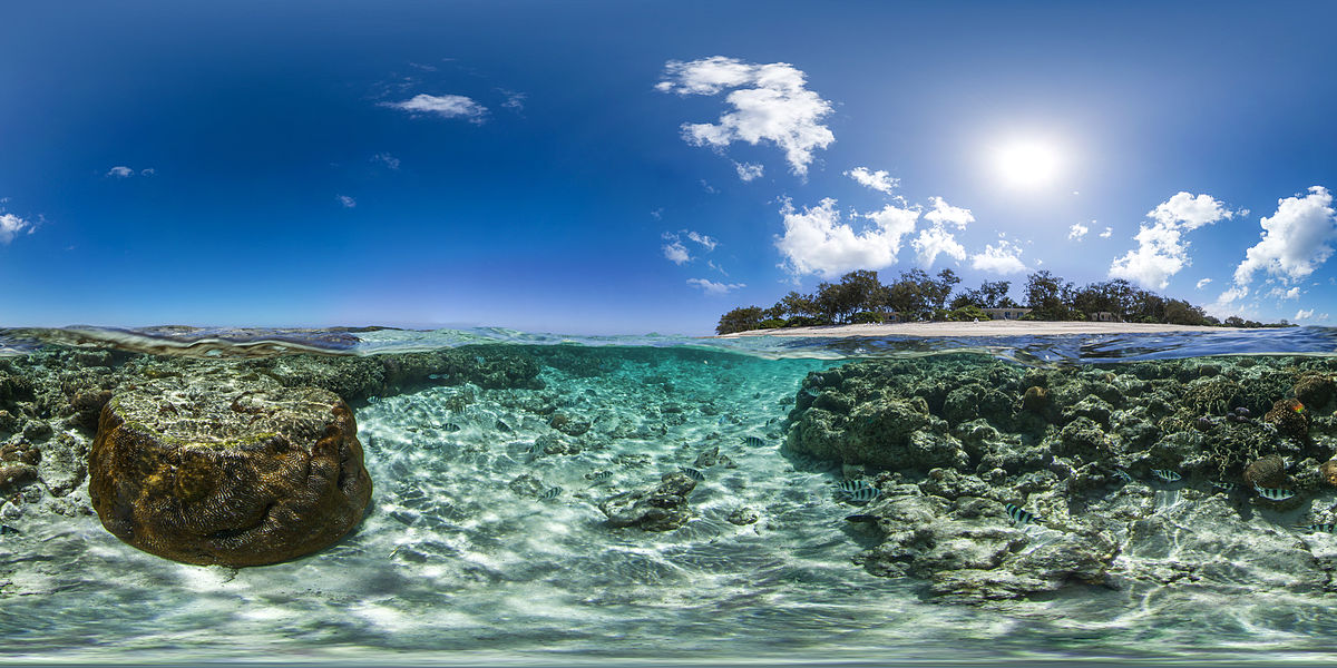 1200px-Lady_Elliot_Island_SVII