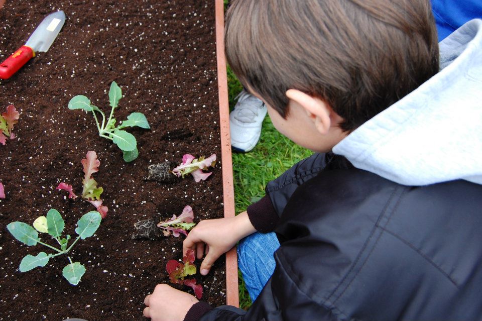 orti didattici scuola bambini