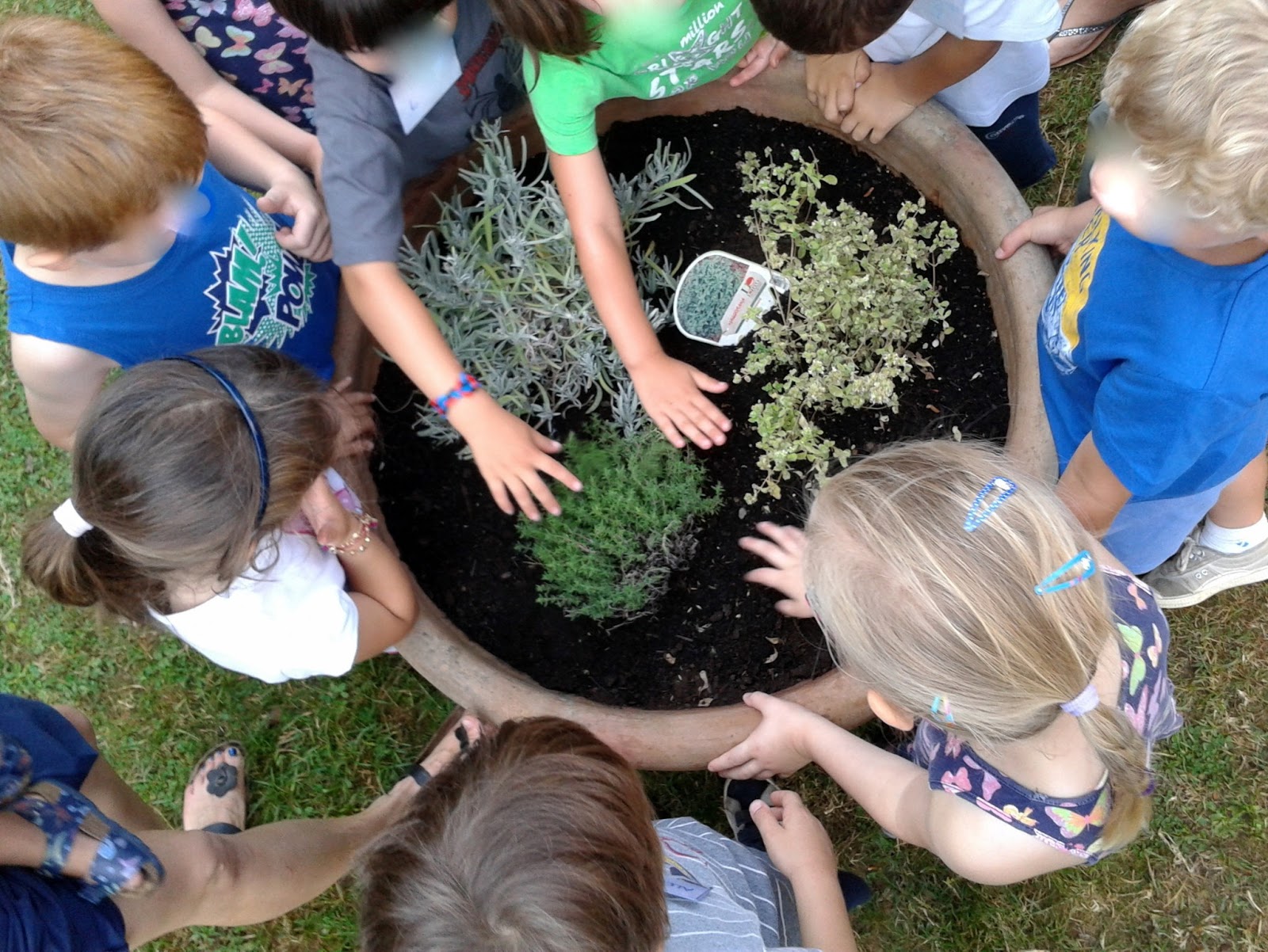 orto didattico scuola bambini