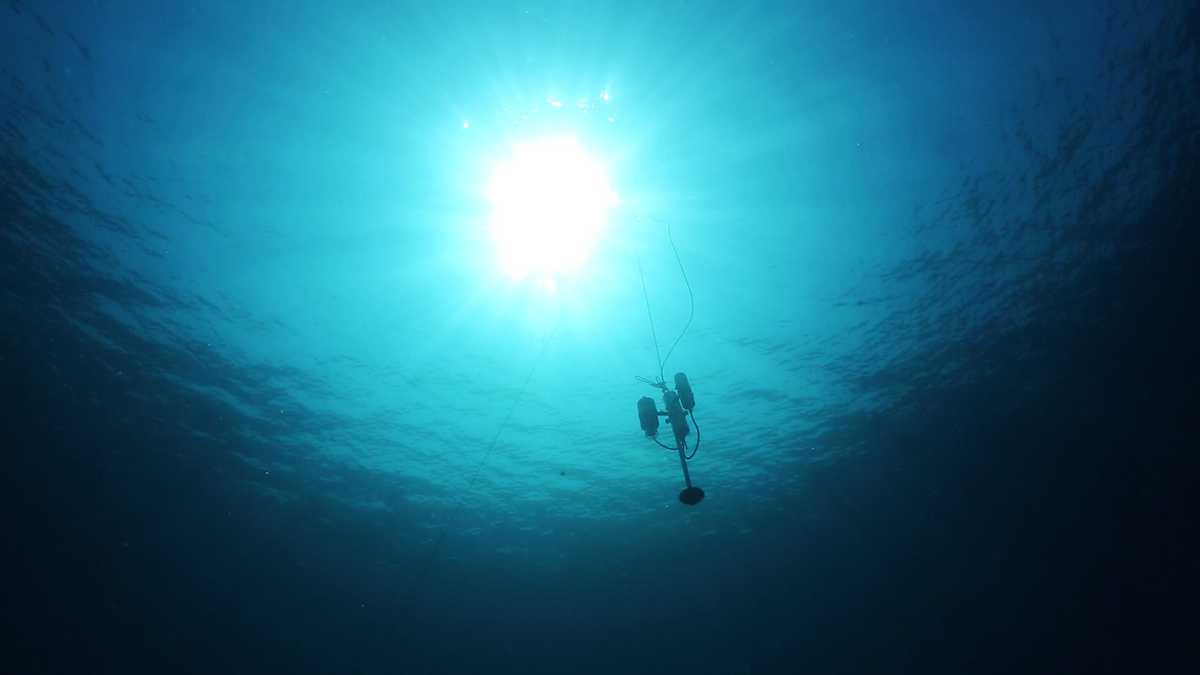 A sensor-node assembled by researchers of University of Rome La Sapienza Department of Computer Science it's being deployed along with a buoy in the sea of Marzamemi (Siracusa, Sicily). Through nodes like these (which can 'translate' acoustioc signals in radio signlas) LAUV's can communicate with floating work station