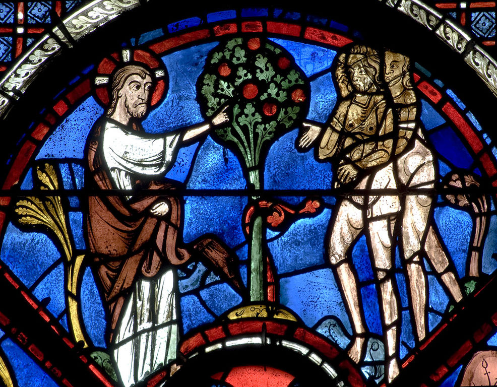 chartres_bay_44_good_samaritan_panel_16