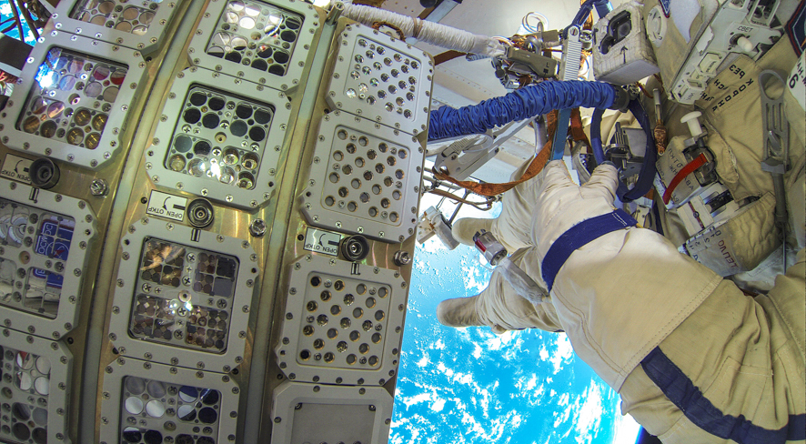 alghe stazione spaziale 