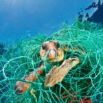 Fauna marina e plastica