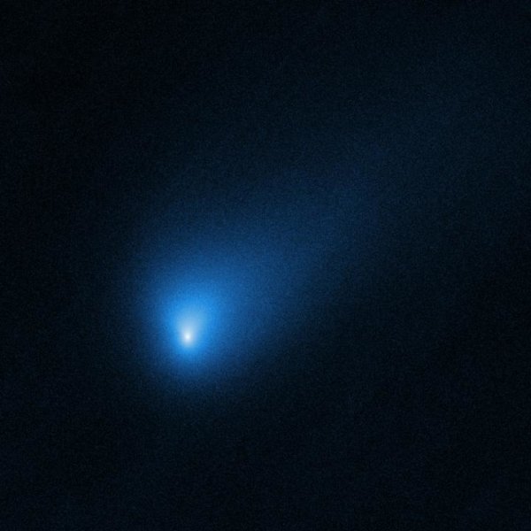 cometa interstellare