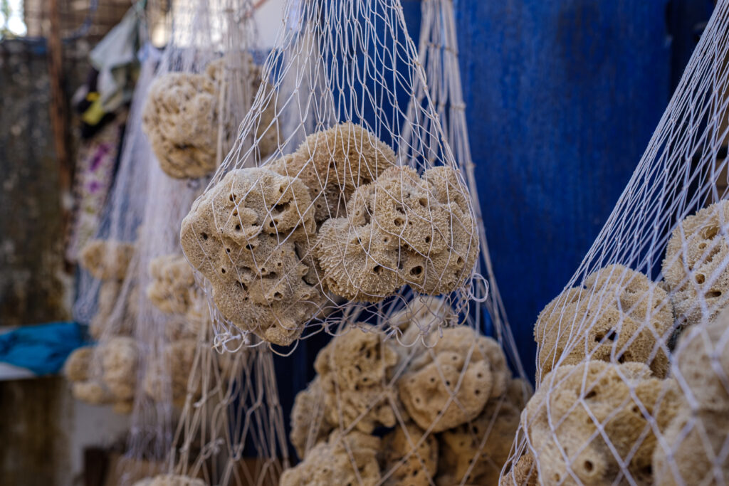 Sponge Farmer | ©Gabriele Orlini